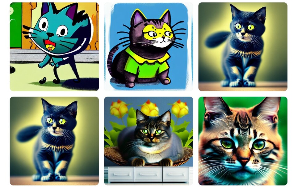 gatos