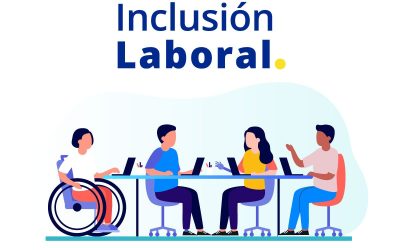 Capítulo 1: Ley de Inclusión Laboral